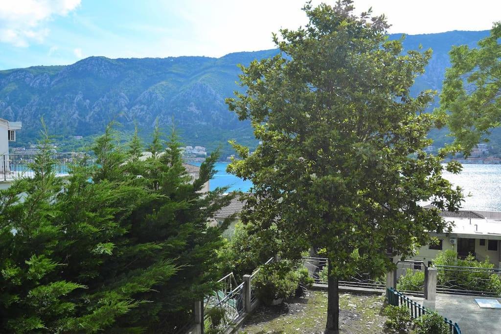 Urban Escape For Two In Kotor Apartment Exterior photo